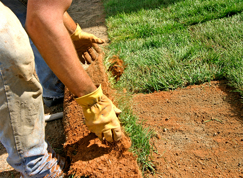 Property Restoration