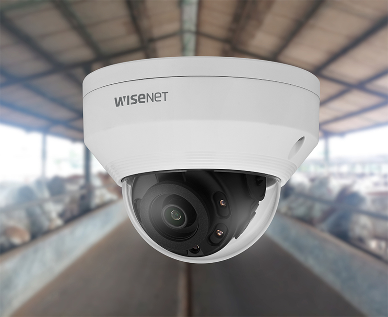 Video Surveillance