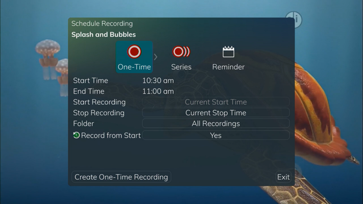 Record What You Are Currently Watching Help