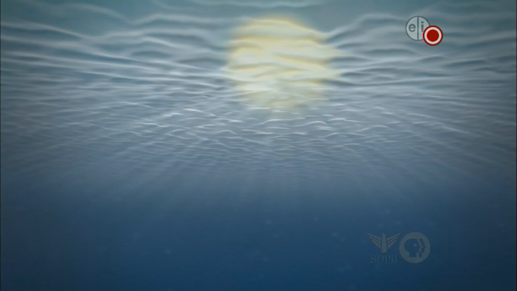 Red Circle Indicating Recording