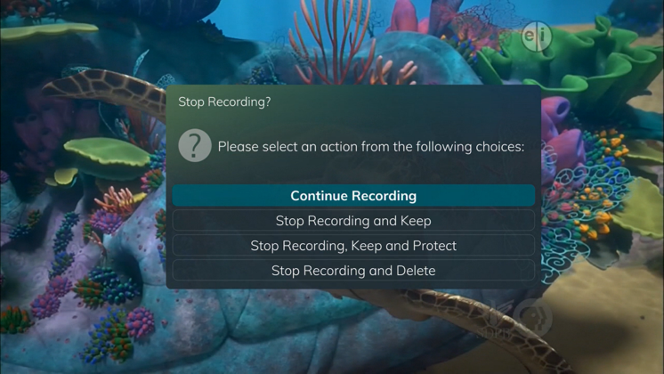 Stop Recording Options