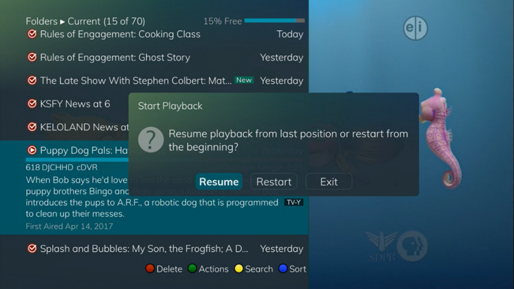 Start Playback Options: Resume, Restart, Exit