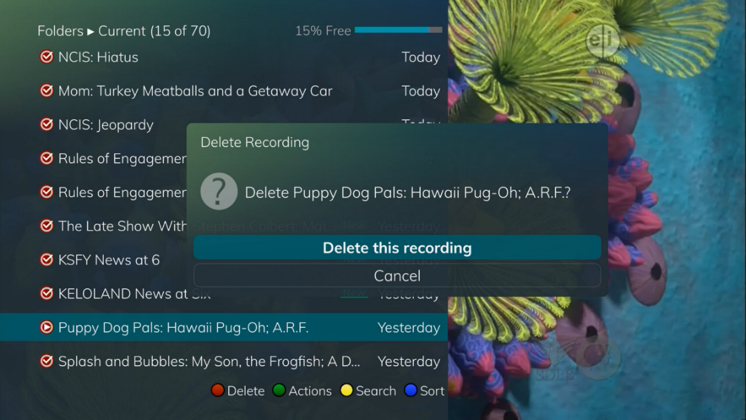 Delete Recorded Program Options
