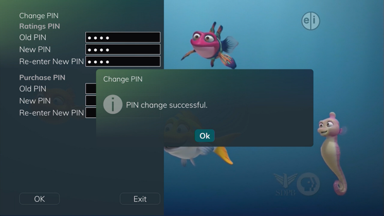 Change Pin Prompt