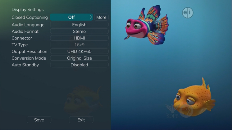 Display Settings Options
