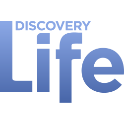 Discovery Life logo