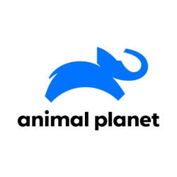 Animal Planet logo